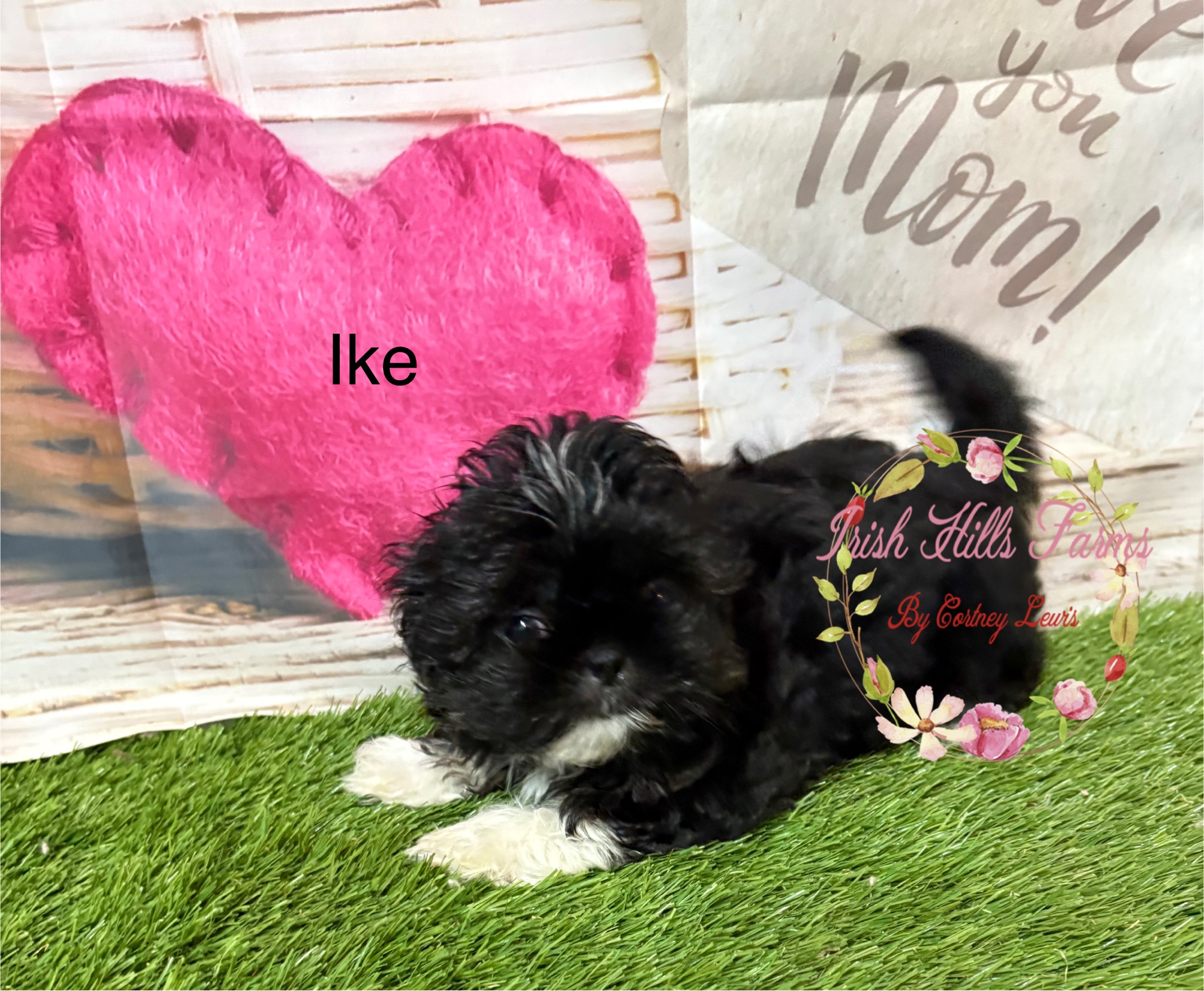 Ike