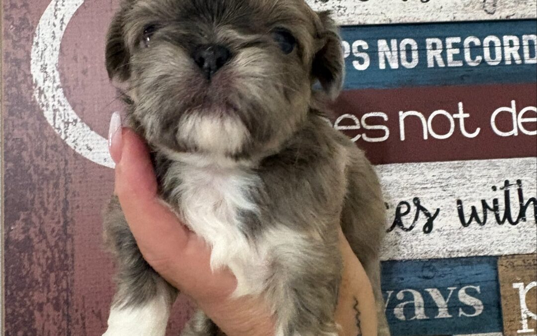 Milo