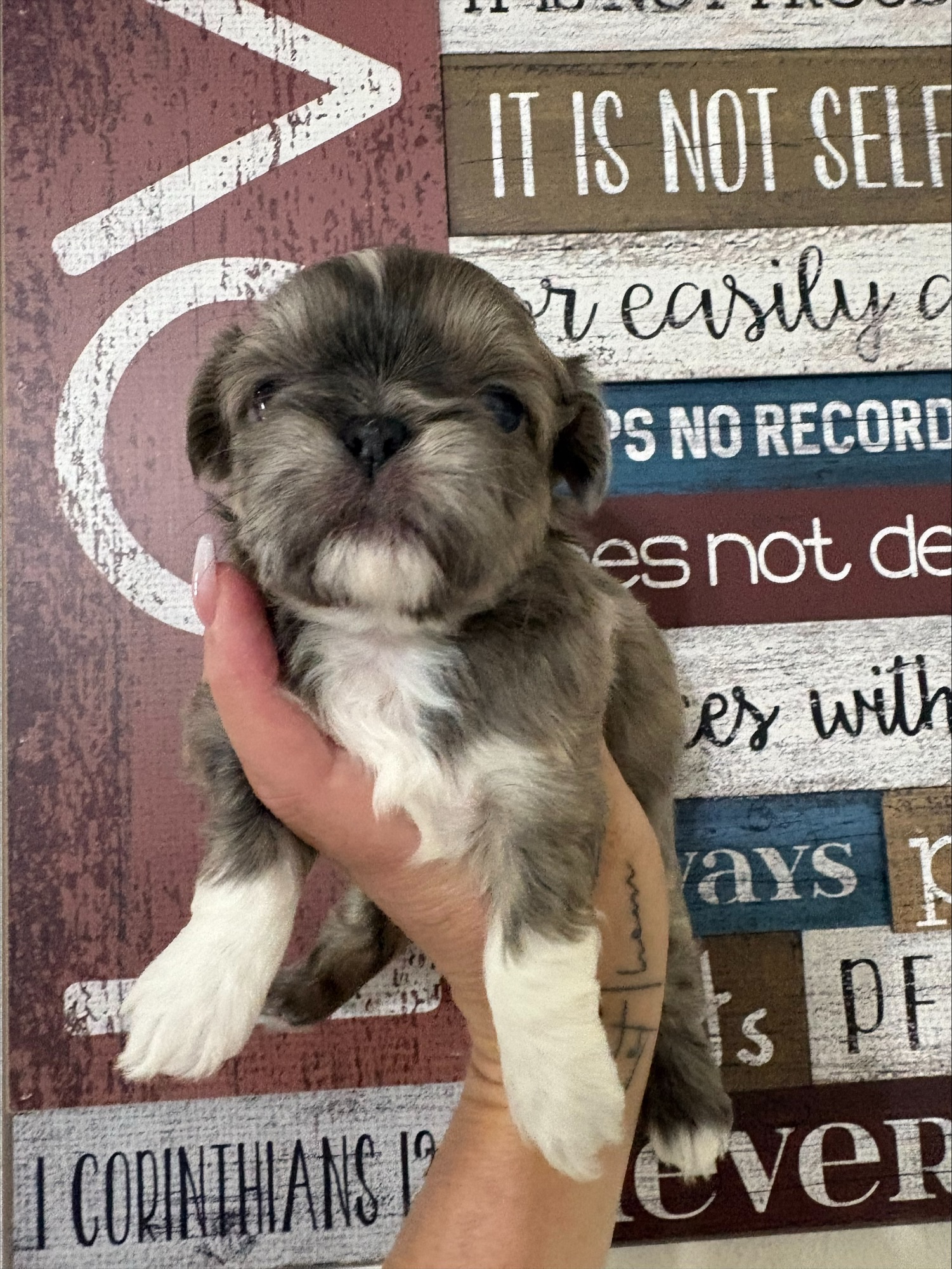 Milo