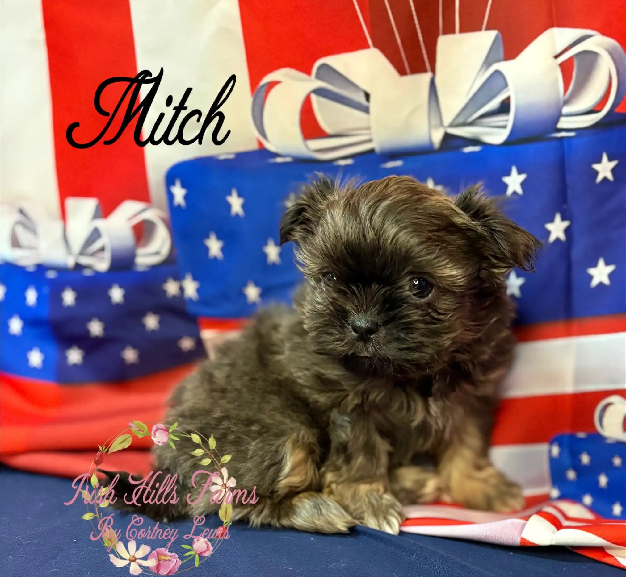 Mitch