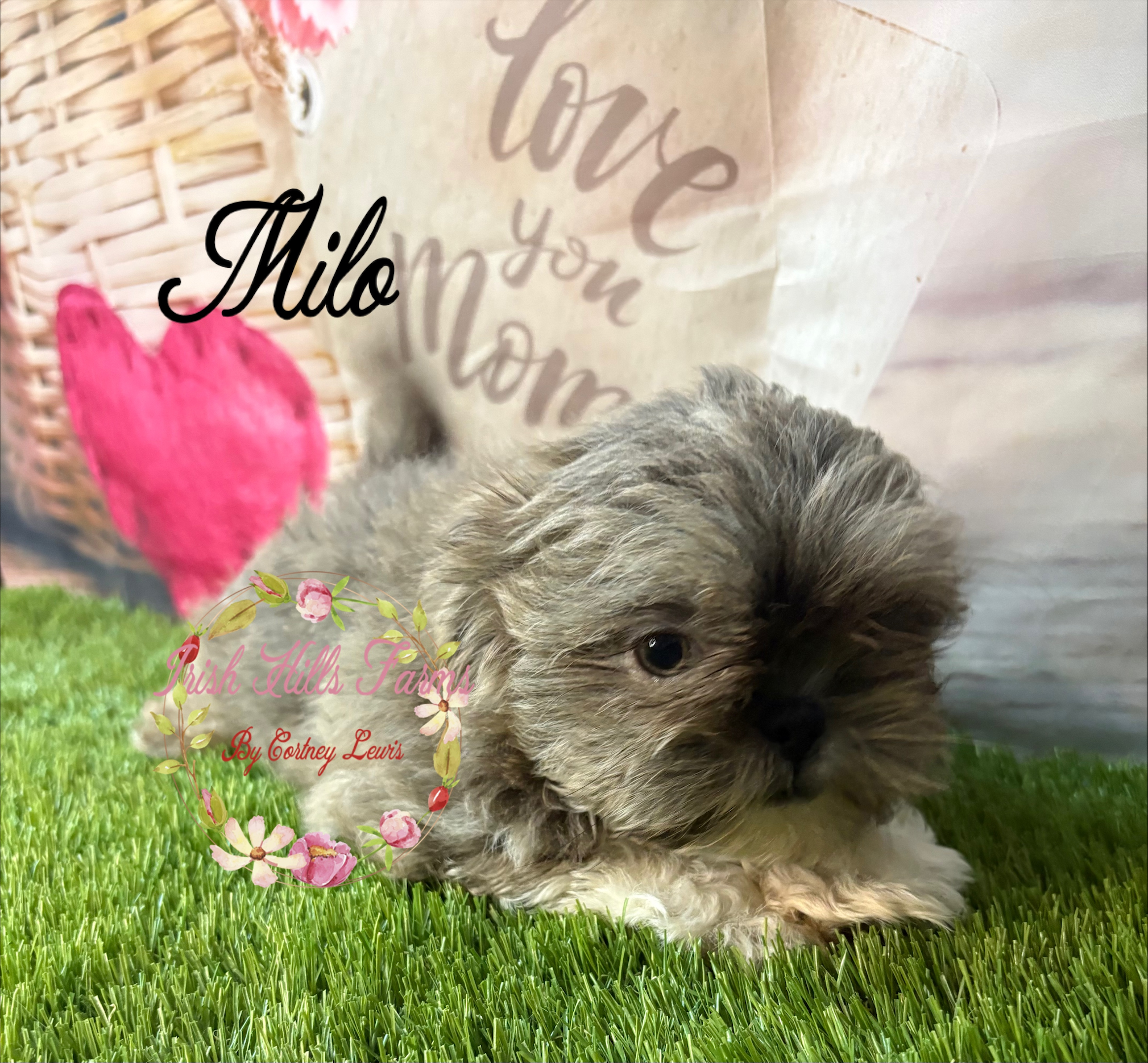 Milo