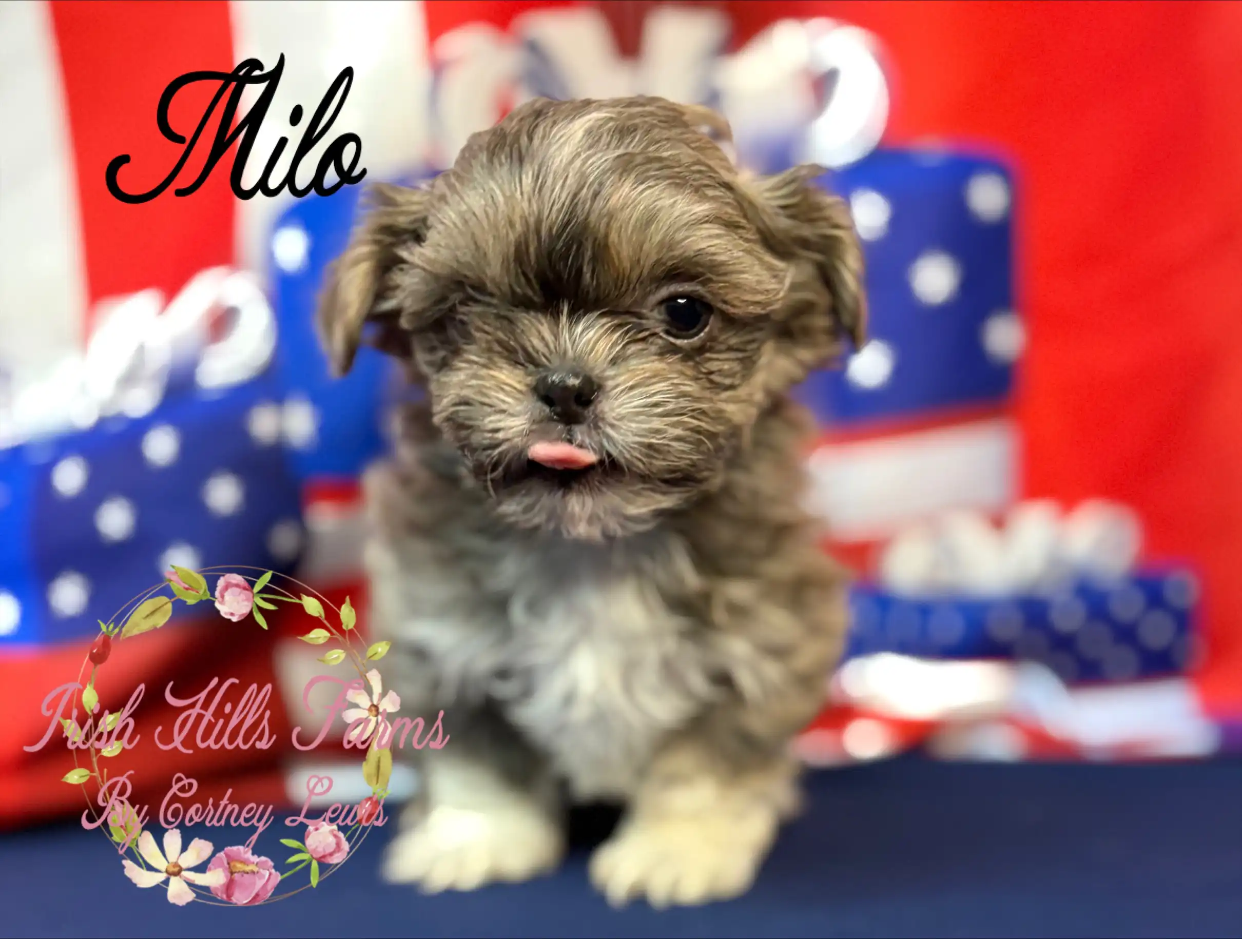 Milo