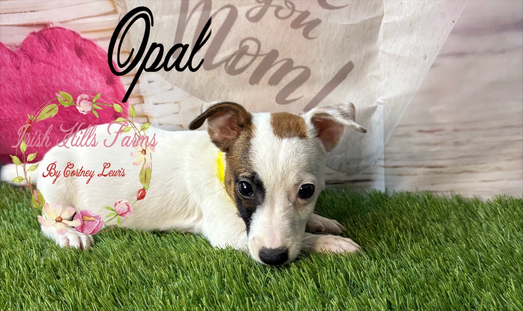 Opal
